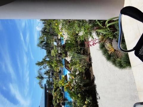 Amanaki Hotel Apia Room photo
